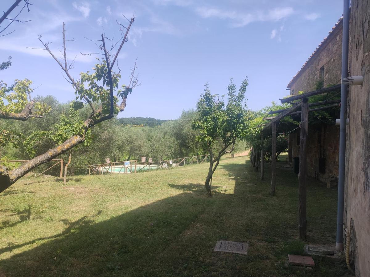 Borgo Villa A Tolli Кастельнуово-дель'Абате Экстерьер фото